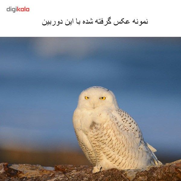 دوربین دیجیتال نیکون D610 بدنه تنها main 1 12