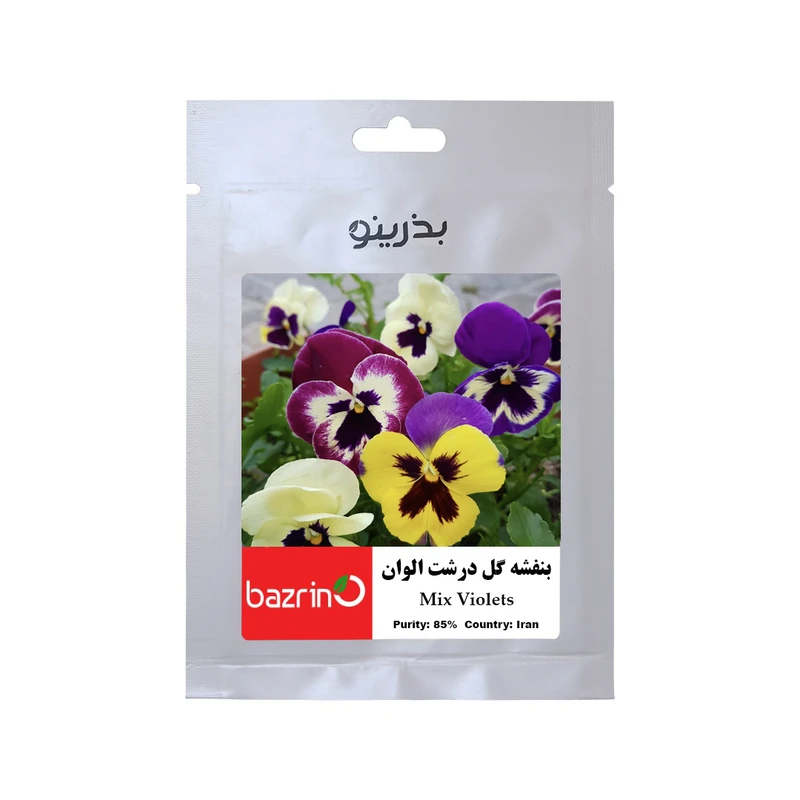 بذر گل بنفشه گلدرشت الوان بذرینو کد BZNO-013