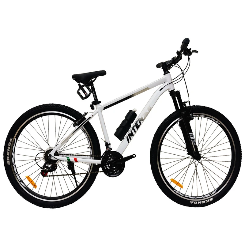 دوچرخه کوهستان اینتنز مدل CD100 کد S-17.5 سایز طوقه 29 اینچ