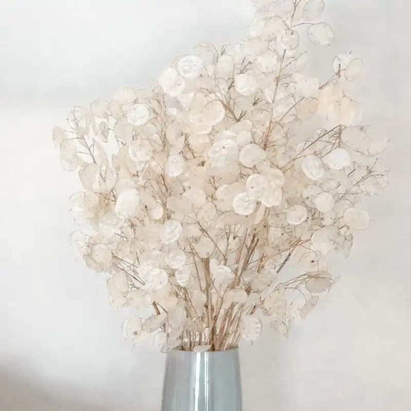 گل مصنوعی مدل خشک سکه ای