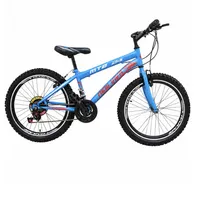 دوچرخه شهری ویوا مدل MTB24 NEW سایز طوقه 24 اینچ