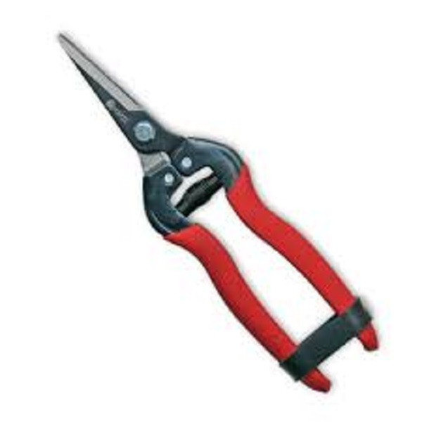 قیچی میوه چینی کامیکازه مدل T556