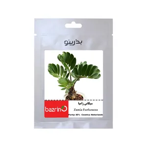 بذر نخل سیکاس زامیا بذرینو کد BZNO-284