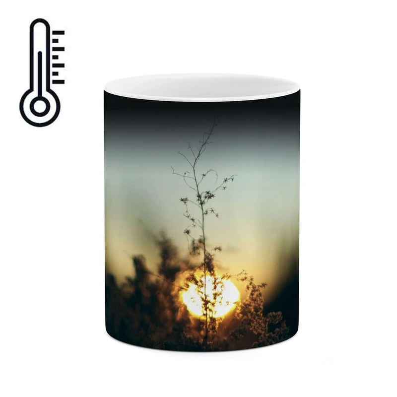 ماگ حرارتی کاکتی مدل غروب کد mgh11214