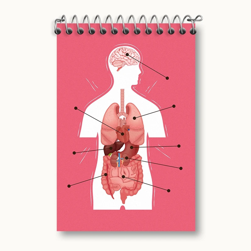 دفتر یادداشت 50 برگ خندالو مدل ماکت بدن انسان کد F1703