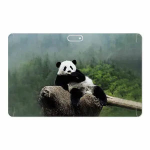 MAHOOT Panda Cover Sticker for GLX W11 Plus