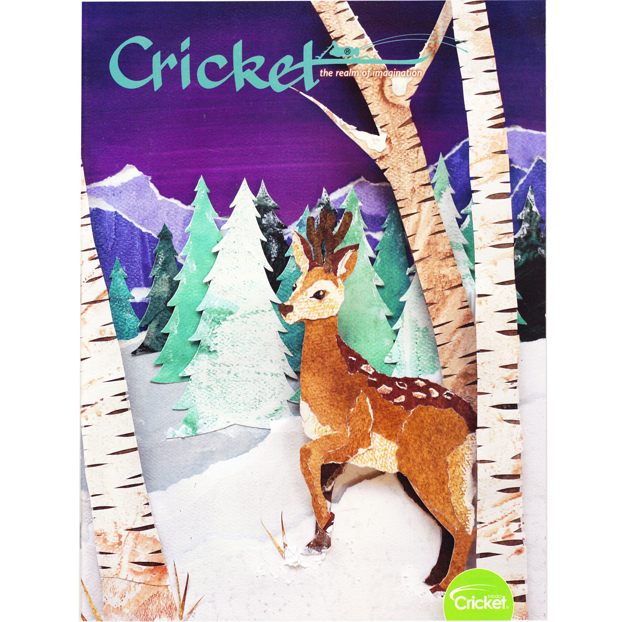 مجله Cricket دسامبر 2019