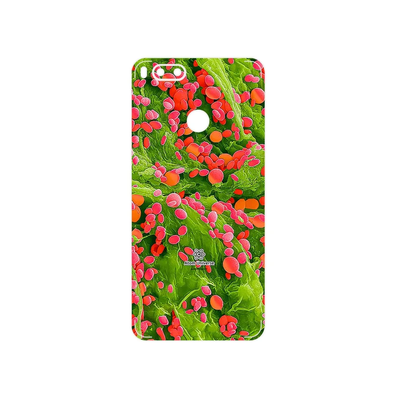 برچسب پوششی ماهوت مدل Atom Universe 3 مناسب برای گوشی موبایل شیائومی Mi 5X