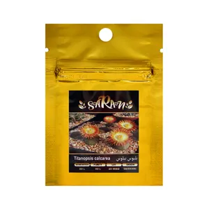 بذر کاکتوس پلیوس پیلوس ساران مدل AMR-018