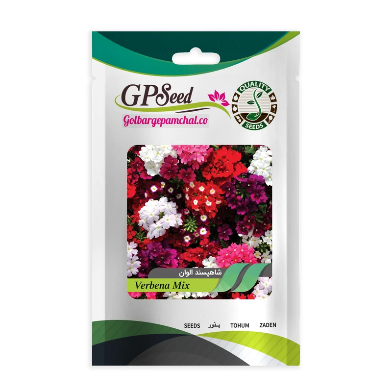 بذر گل شاهپسند الوان گلبرگ پامچال کد GPF-060