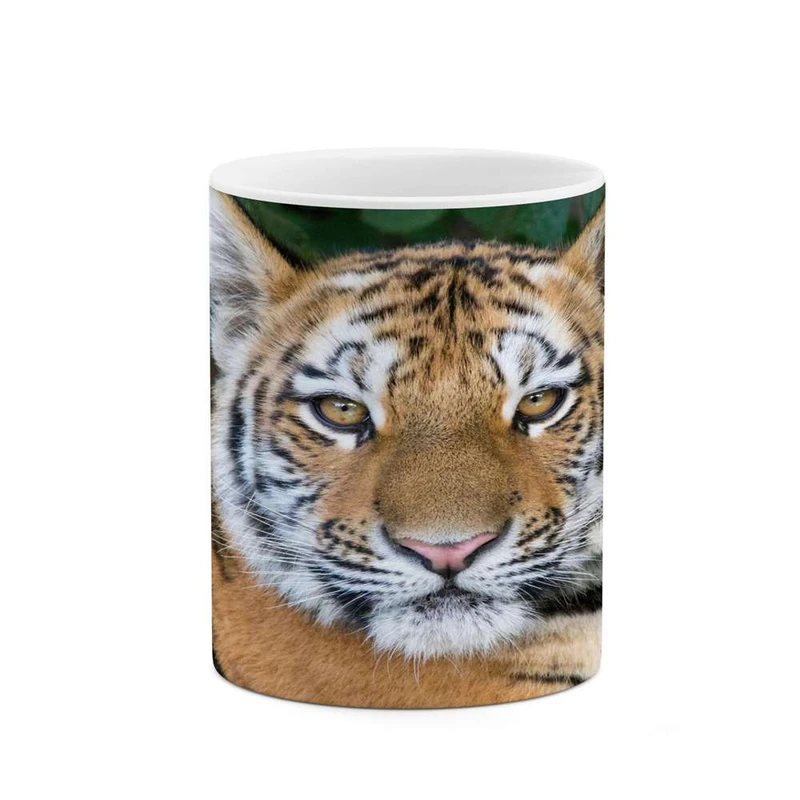 ماگ کاکتی مدل ببر کد mgh16669