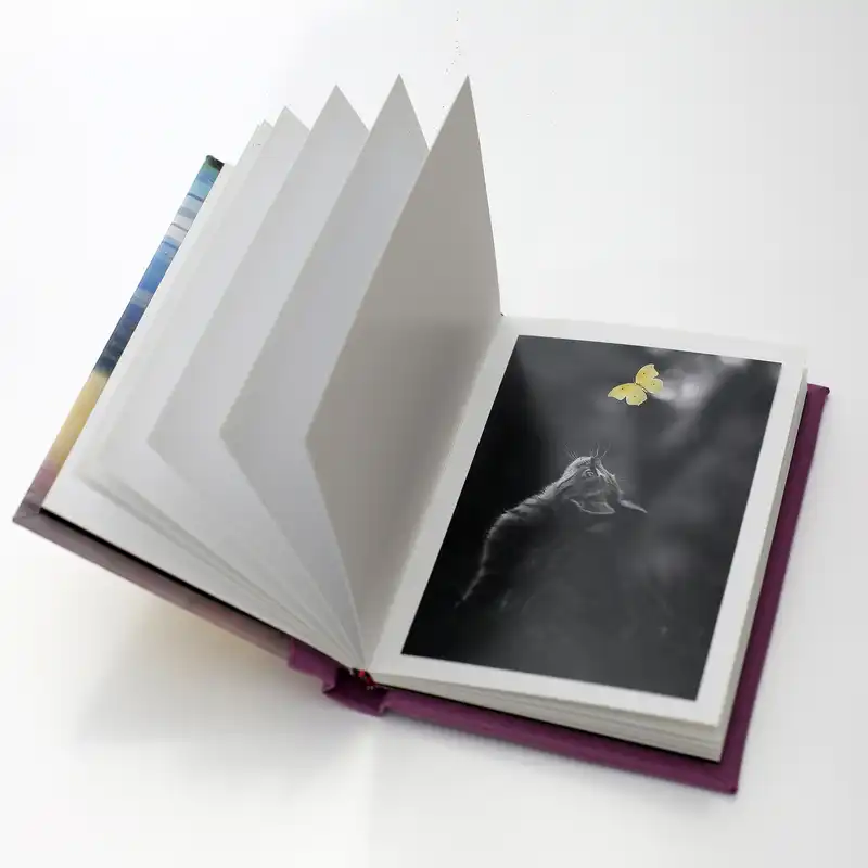 آلبوم خاطرات کودک مدل Princess-20