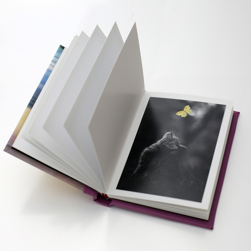 آلبوم خاطرات کودک مدل Princess-20 آلبوم خاطرات کودک مدل Princess-20