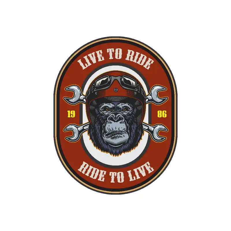 برچسب بدنه خودرو رایسان کد st084