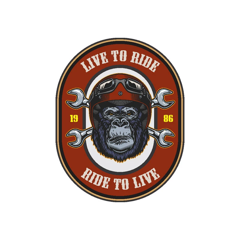 برچسب بدنه خودرو رایسان کد st084