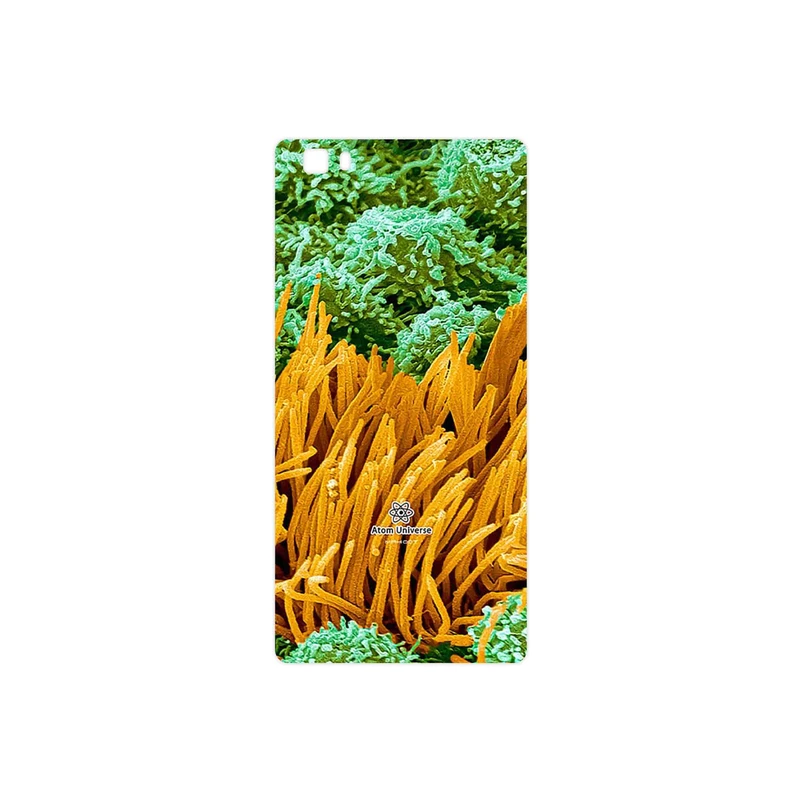 برچسب پوششی ماهوت مدل Atom Universe 6 مناسب برای گوشی موبایل هوآوی P8 Lite