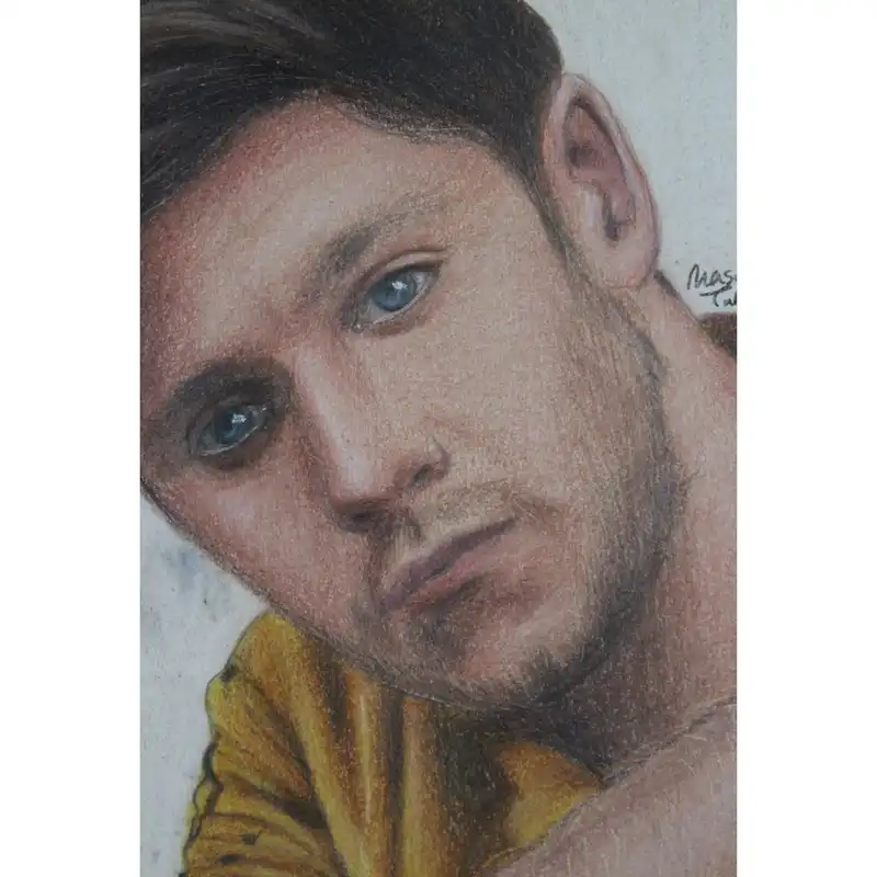 نقاشی مداد رنگی مدل نایل هوران کد 01