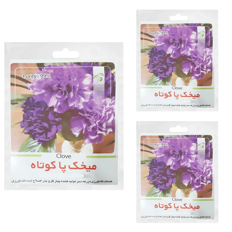 بذر میخک پاکوتاه گرین فارم کد G 22 بسته 3 عددی