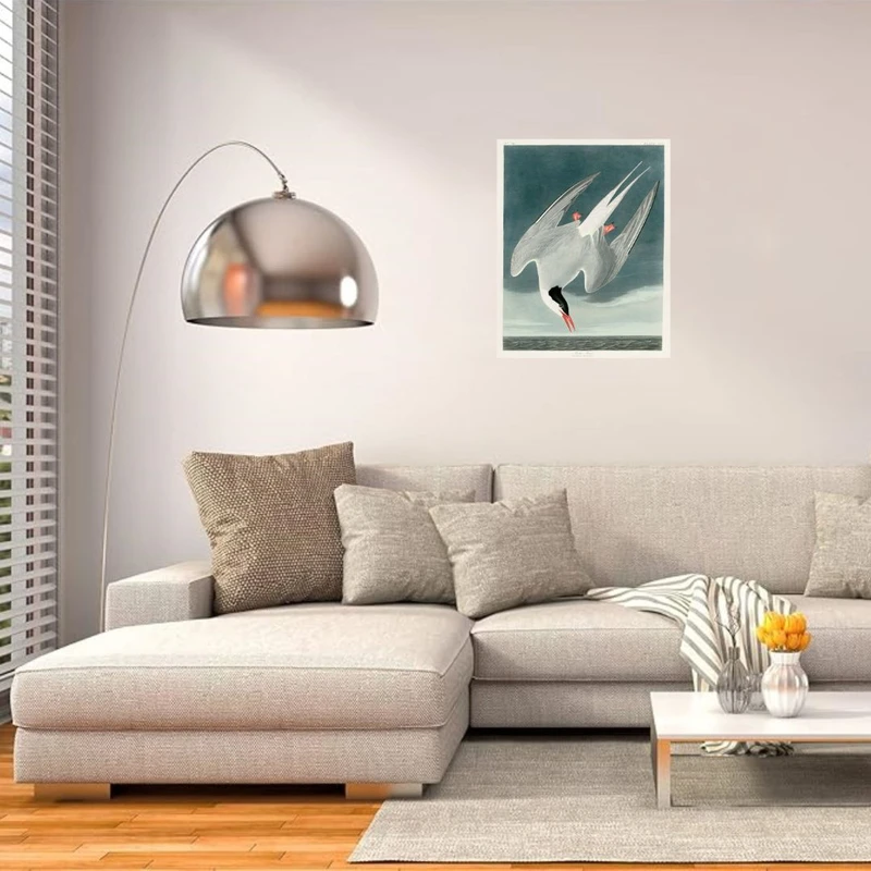 پوستر مدل چاپ طوطی قطبی 