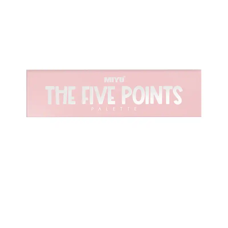 پالت سایه چشم میو مدل THE FIVE POINTS