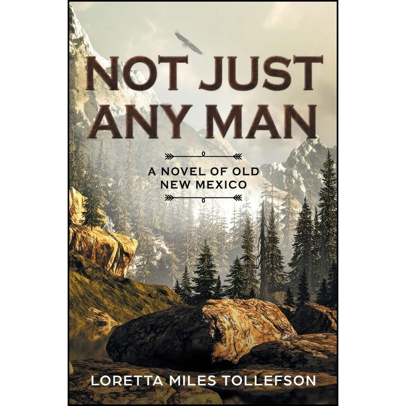 کتاب Not Just Any Man اثر Loretta Miles Tollefson انتشارات تازه ها