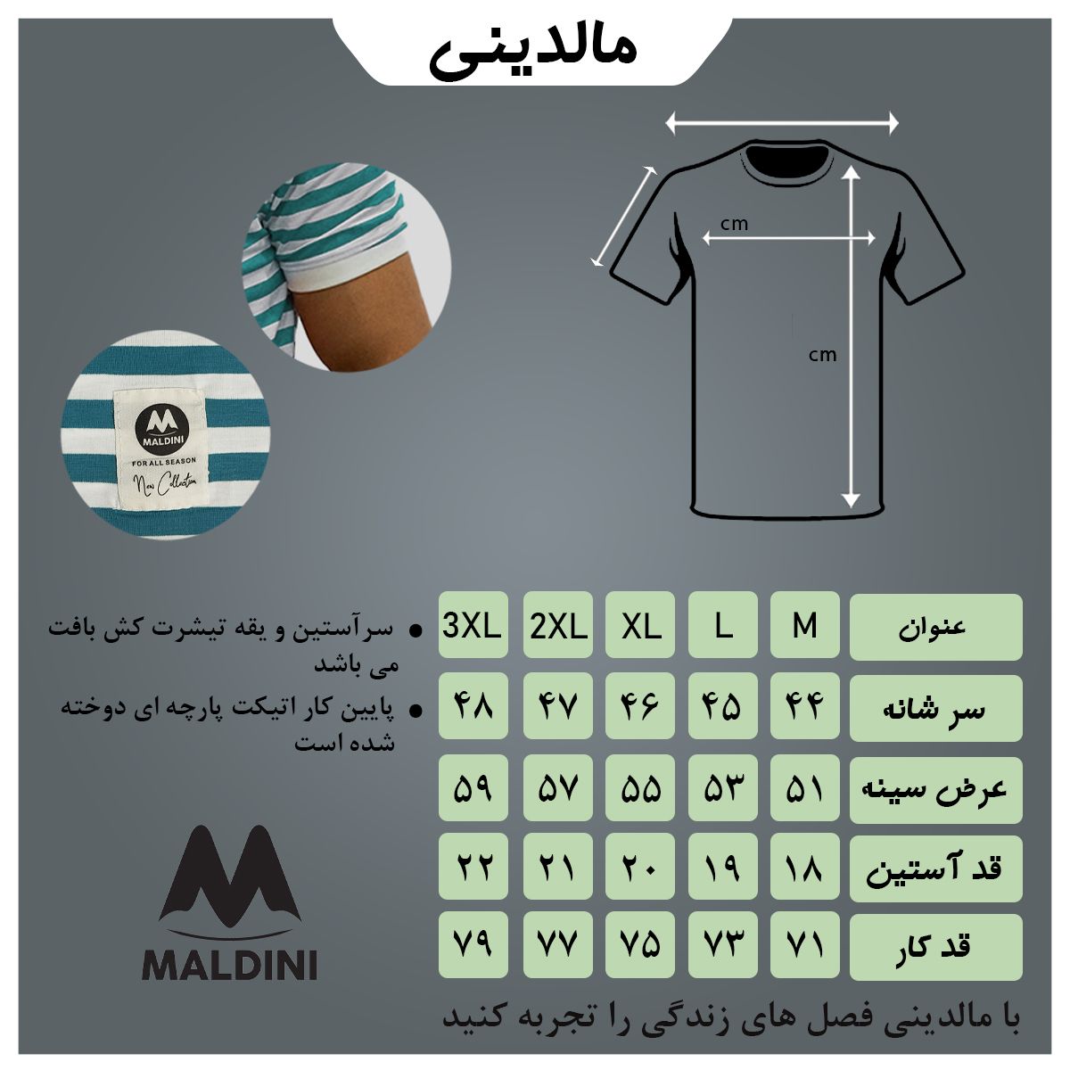 تی شرت آستین کوتاه مردانه مالدینی مدل t-449 -  - 5