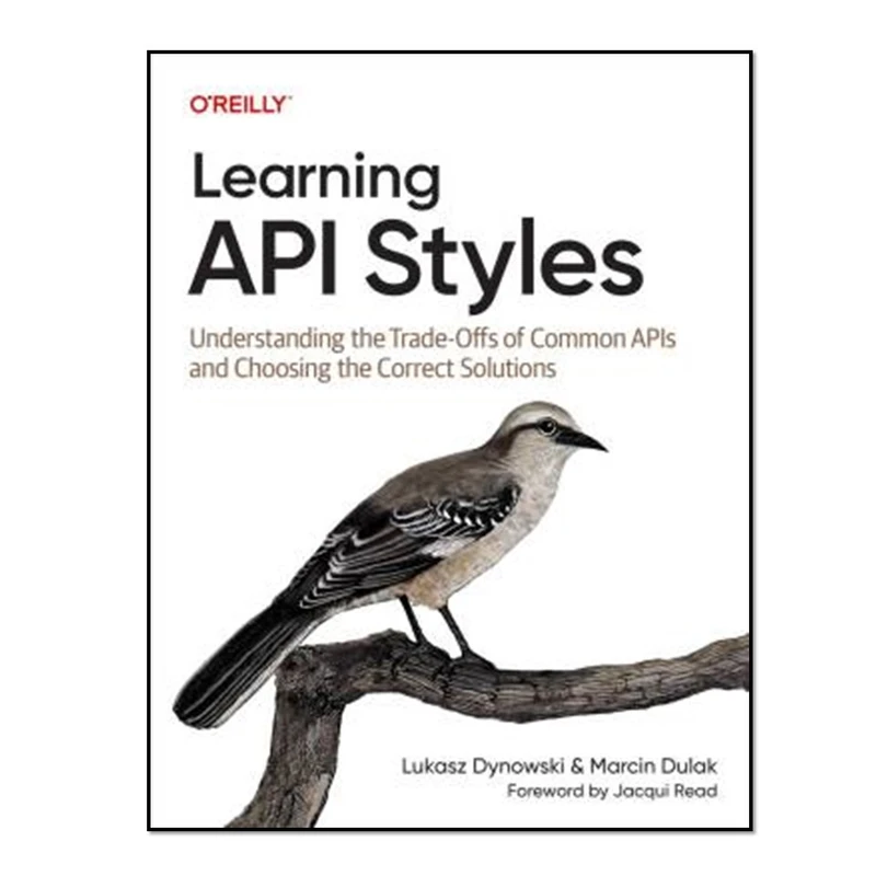 کتاب Learning API Styles اثر Lukasz Dynowski and Marcin Dulak انتشارات آوای مؤلف