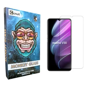 Coconut mnk Screen Protector For Realme  V30