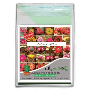 بذر کاکتوس لوب ویا میکس کاکتوسچی مدل AM-070