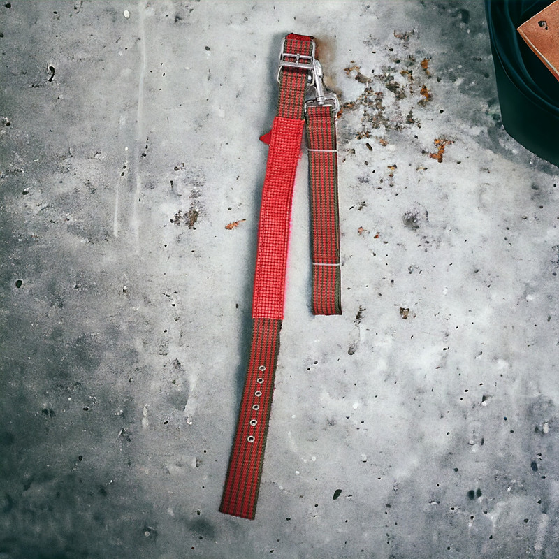 بند قلاده و قلاده گردنی سگ مدل L113R