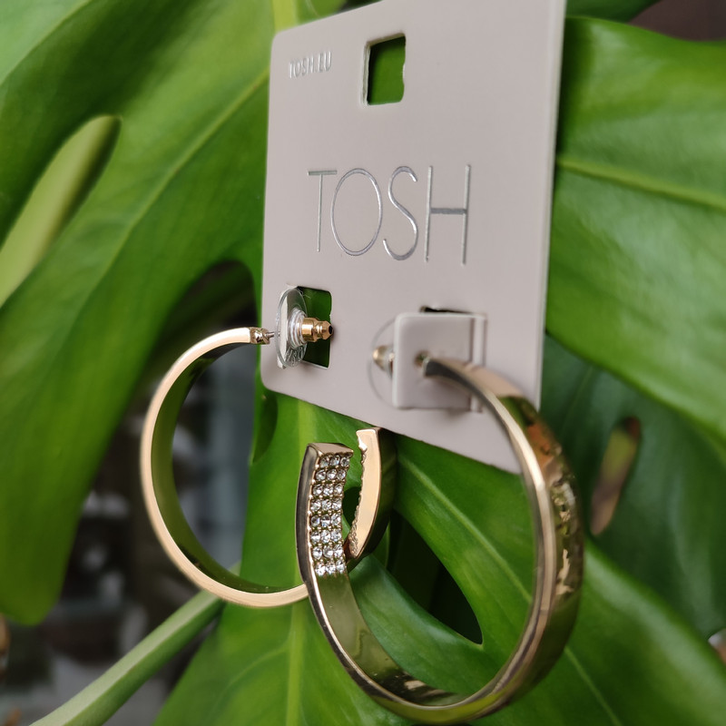 گوشواره زنانه تاش مدل میخی حلقه ای