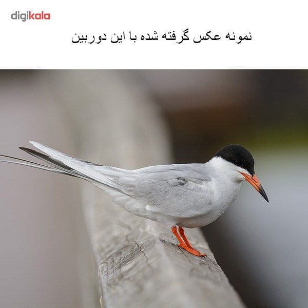 دوربین دیجیتال نیکون مدل D7100 kit 18-55 main 1 12