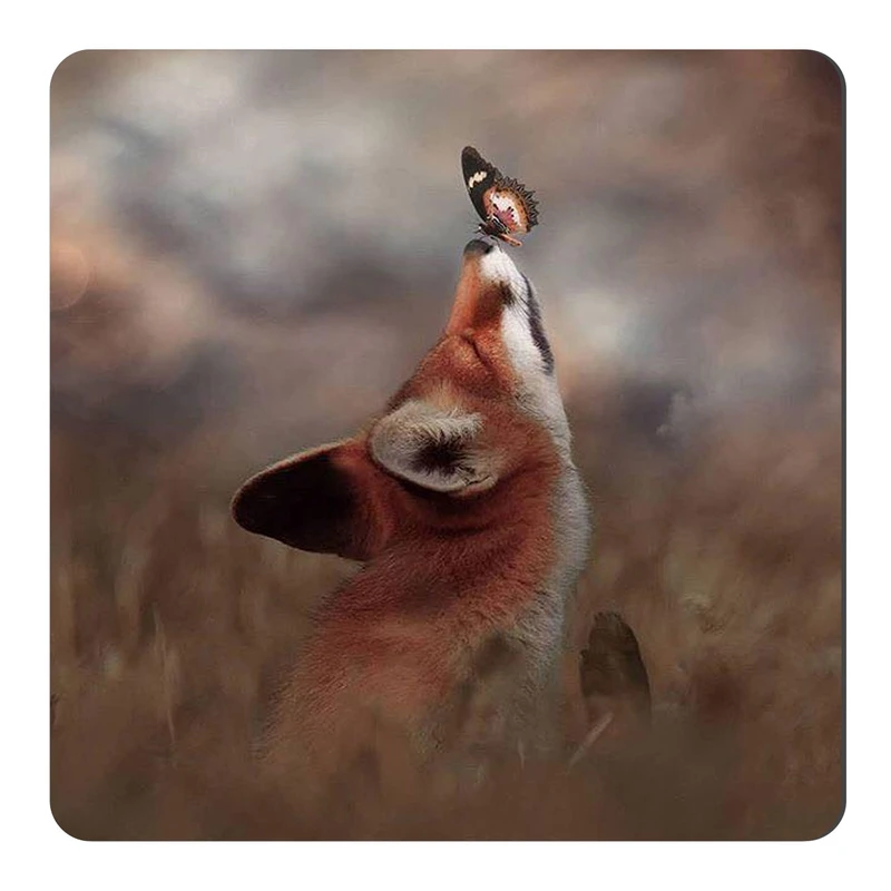 	 مگنت طرح روباه و شاپرک کد NIM2570 