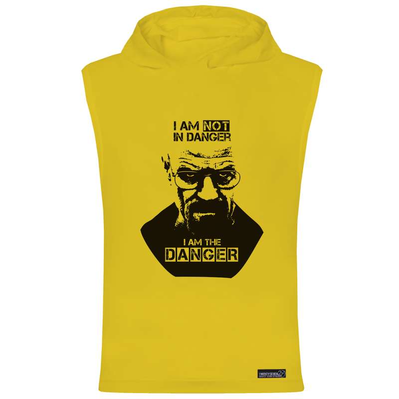 تاپ کلاه دار مردانه 27 مدل والتر وایت کد WN732