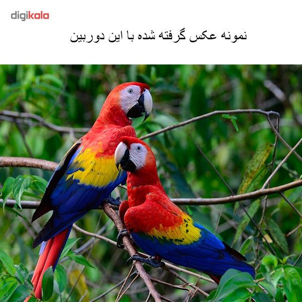 دوربین دیجیتال نیکون مدل D7100 kit 18-55 main 1 14