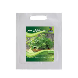بذر بادرنجبویه شرکت گلباران سبز گیلان مدل BB بسته 24 عددی