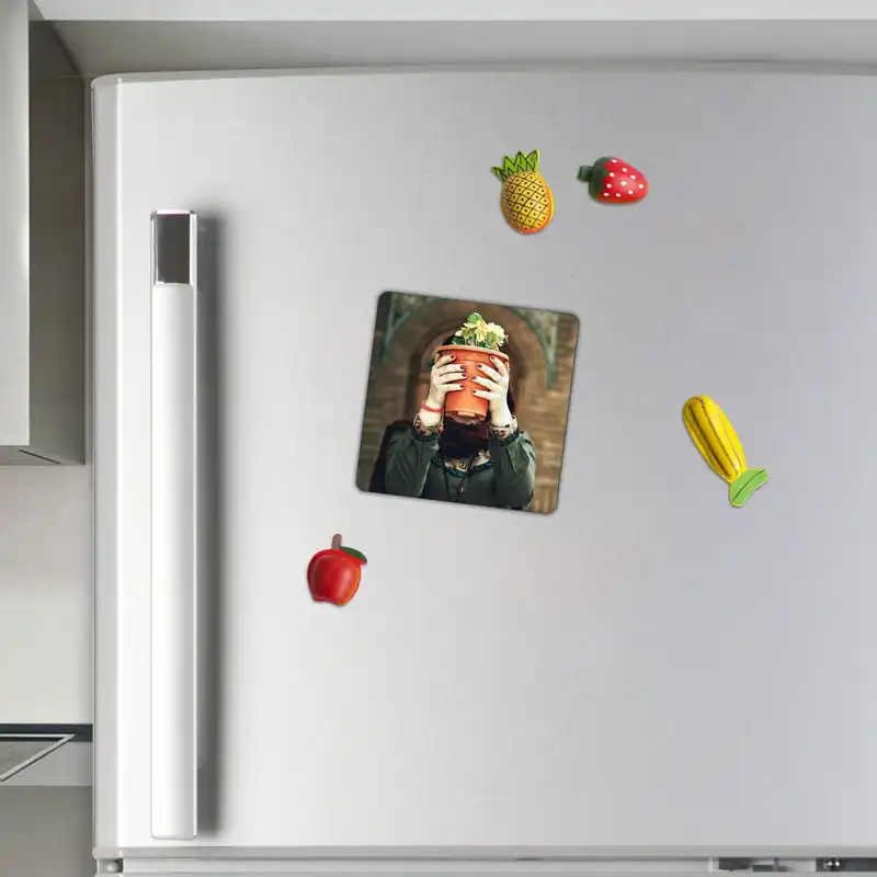 مگنت طرح بانو و گلدان گل کد wmg2369