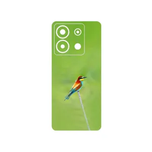 MAHOOT European bee-eater Cover Sticker for Xiaomi Poco X6