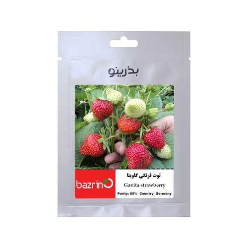 بذر میوه توت فرنگی گاویتا F1 آلمانی بذرینو کد BZNO-290