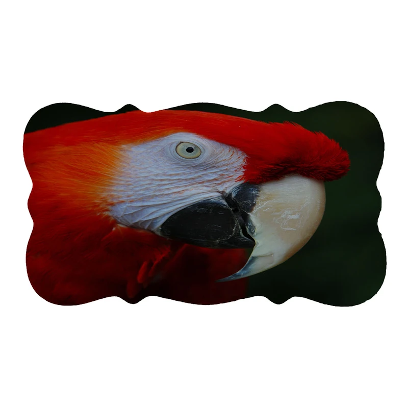 پادری مدل دالبر طرح طوطی کد 6197 سایز 110×60 سانتی متر