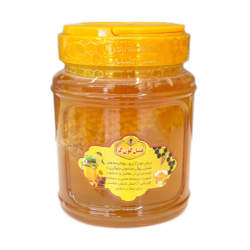 عسل طبیعی موم دار گون گز - 1000 گرم