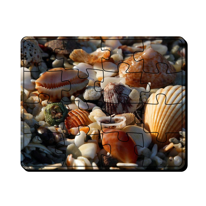 پازل 16 تکه مدل صدف