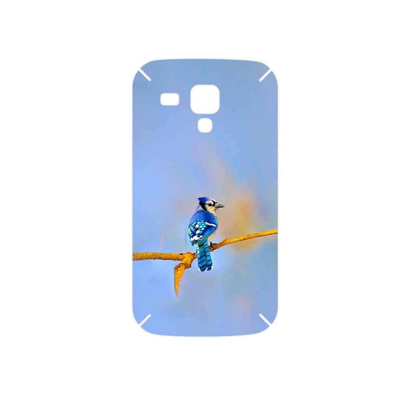 برچسب پوششی ماهوت مدل Cyanocitta cristata مناسب برای گوشی موبایل سامسونگ Galaxy S Duos GT S7562