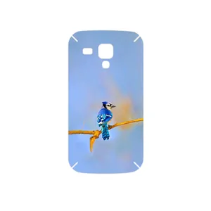 MAHOOT Cyanocitta cristata Cover Sticker for Samsung Galaxy S Duos GT S7562