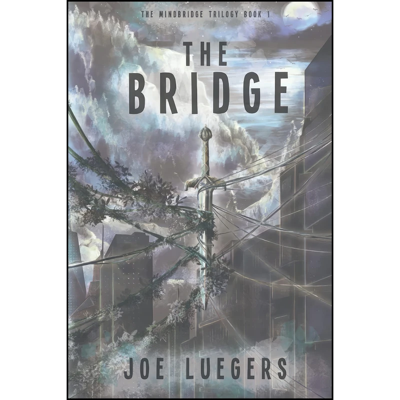 کتاب The Bridge  اثر Joe Luegers and Ashley Ellen Frary انتشارات تازه ها