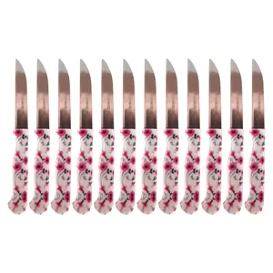 چاقو میوه خوری مدل M&M کد 05 بسته 12 عددی