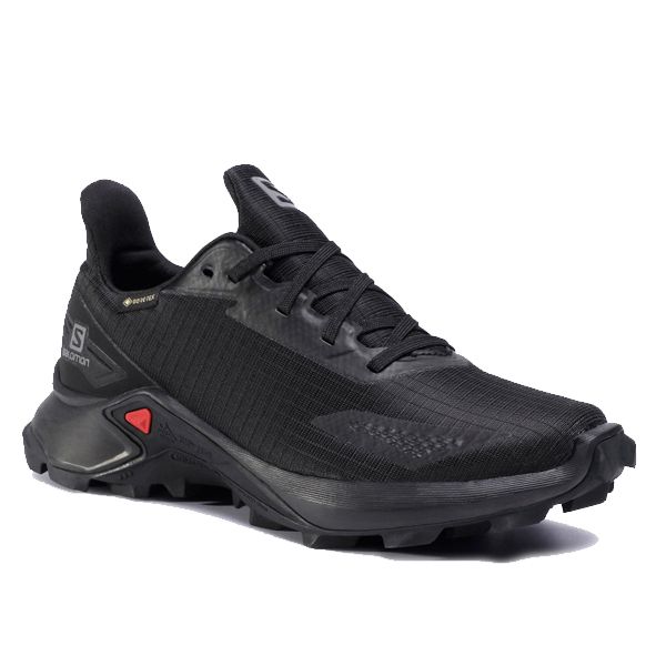 کفش مخصوص دویدن مردانه سالومون مدل Alphacross Blast Gtx GORE-TEX -  - 2