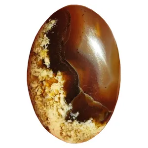 سنگ عقیق مدل اصل معدنی خرمایی شجر بوته ای