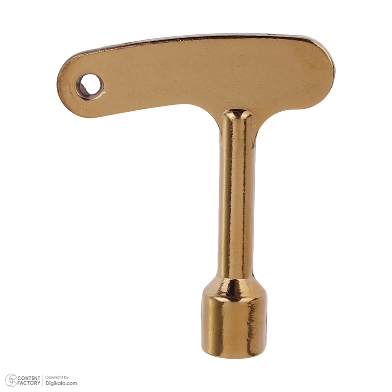 عکس شماره 2 : کلید طلایی درب آسانسور آرمان لیفت مدل key-t7