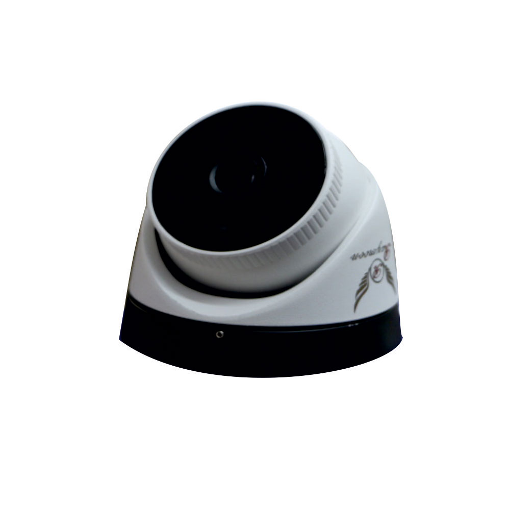 دوربین مداربسته آنالوگ رایمون مدل 900M2053